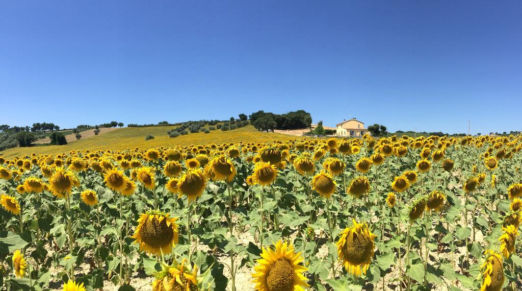 Ferienwohnung Girasole San Marcello  Zimmer foto